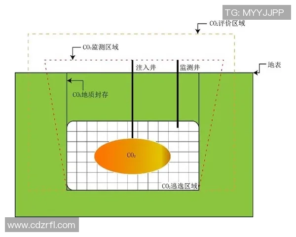 武汉羽毛球队技术分析与表现评估探讨及未来发展方向研究